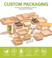 Barquettes alimentaires jetables en fibres biodégradables, compostables, écologiques et durables, avec fermeture supérieure, pour la préparation des repas et l'emballage alimentaire