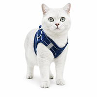 Harnais et laisse réfléchissants écologiques pour chat, en velours doux, anti-évasion, gilet de promenade pour petits chats/chatons, réglable, léger, 7 tailles