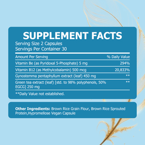 Capsules de haute qualité pour brûler la graisse abdominale, réduire la graisse viscérale, stimuler le métabolisme des graisses, favoriser une perte de poids saine - Product Image 2