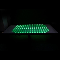 Rigeba - Nouvelle scène de danse rebondissante sur mesure, modèle récent, éclairage LED disco, contrôle DMX/son/télécommande/clé, capacité de charge de 500 kg/m