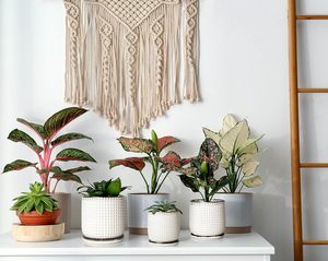 Pot de fleurs en céramique vert olive dégradé avec trou de drainage et système d'arrosage automatique, design moderne et écologique pour une utilisation en intérieur/extérieur - Product Image 6