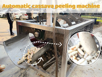 20 TPH Grootschalige Cassavemeelverwerkingsinstallatie Akpu-meel/FuFu-meel maakmachine Tapiocapoeder productielijn