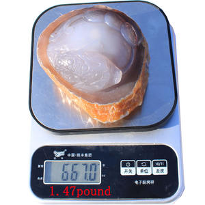 Agata biliare d'acqua naturale lucidata Enhydro Crystal bolle d'acqua mobili agata Enhydro Crystals con Multi sculture - Product Image 5