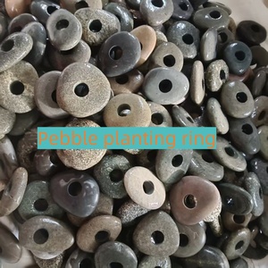 <span class=keywords><strong>Refugio</strong></span> Fijo para Plantas Acuáticas en el Fondo del Acuario con Doble Orificio para Plantar y Piedras en Forma de Anillo - Product Image 5