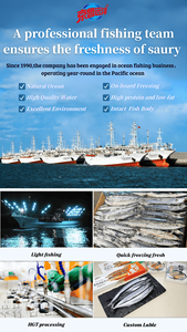 Saury et maquereau frais congelés de première qualité, traités BQF, emballage en vrac de 10 kg pour les restaurants japonais de sushi - Product Image 6