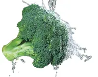 Çin Iqf brokoli kesim üreticisi sebze dondurulmuş brokoli iyi fiyat ile