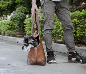 Портативная Сумка-переноска для домашних животных, сумка-тоут из искусственной кожи для маленьких собак - Product Image 3