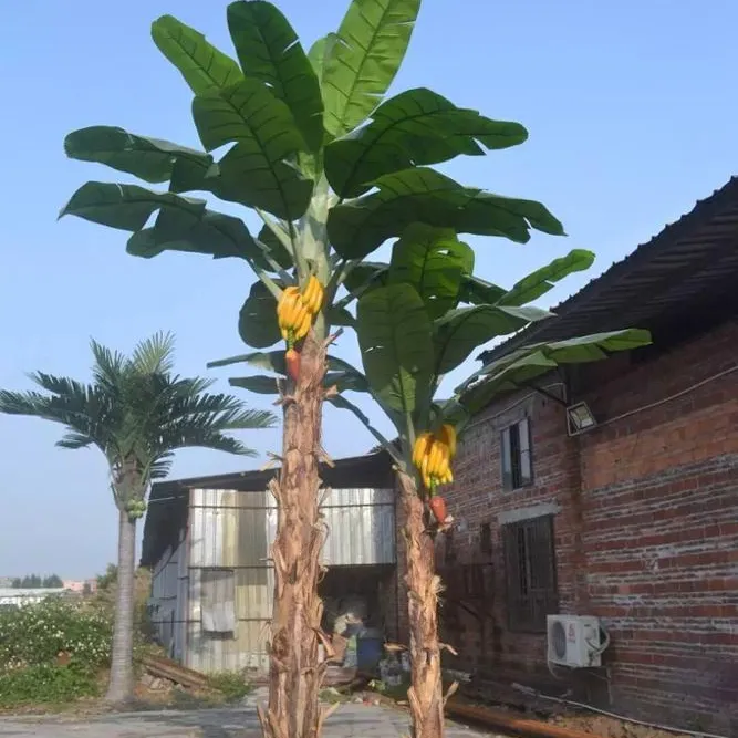 Anti Uv Hoge Quanyity Kan Worden Aangepast Kunstmatige Banaan Bomen Artificialbanana Fruit Boom