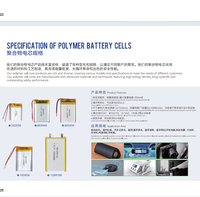 Batterie lithium-ion 3,7 V 301020 40 mAh, cellule la plus petite, batterie polymère lithium ultra-mince