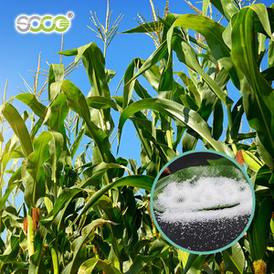Poliacrilato de Potasio para Plantas Agrícolas, Polímero Súper Absorbente, Cristal de Savia, Hidrogel - Product Image 3