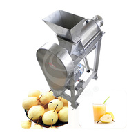 ORME Extracteur de jus de fruits ananas industriel multifonction pour presse-agrumes maison agrumes mangue