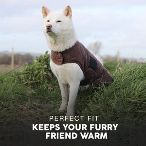 Qiqu fournisseur personnalisé nouveau concepteur de luxe animaux de compagnie veste en cire confortable <span class=keywords><strong>chien</strong></span> manteaux <span class=keywords><strong>pour</strong></span> temps froid <span class=keywords><strong>chien</strong></span> hiver résistant à l'eau veste - Product Image 6