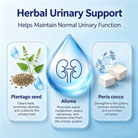 Formule Naturelle de Soutien Urinaire à Base de Plantes pour Chiens et Chats, Formule Dissolvante de Calculs TCM avec Lysimachia