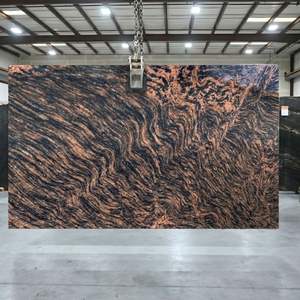 ผู้ส่งออกชาวอินเดียจำหน่ายแผ่นหินแกรนิตลายเสือสำหรับตกแต่งผนังห้องครัวและห้องน้ำ วิลล่า และโรงพยาบาล จำหน่ายจำนวนมาก ราคาดีที่สุด - Product Image 2