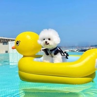 Lit de piscine gonflable écologique en PVC pour animaux de compagnie, forme de canard épaissie, portable, pour bébé
