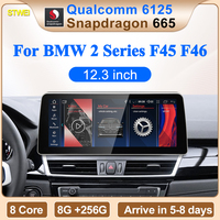 STWEI 12,3 pouces Qualcomm Snapdragon665 6125 Android14 CarPlay sans fil Android Auto GPS 1 an BMW Série 2 F45 F46 Système multimédia automobile
