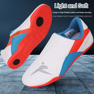 Scarpe Professionali Unisex per Allenamento TKD di Alta Qualità, Sneakers Sportive Leggere con Fodera in Rete, per Allenatori di Taekwondo Invernale - Product Image 2