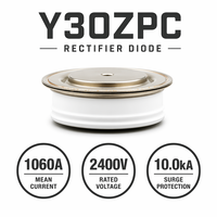 Diode redresseuse à montage en surface TECHSEM S2GHM4G 1060A 1600V-2400V Disque haute tension