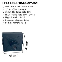 Kamera CCTV Mini, lensa telefoto HD 1080P 42*42MM, kamera USB Mini CMOS UVC OTG 30fps Plug & Play UVC Free Drive