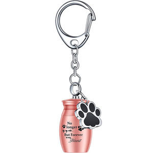 Urne pour animaux de compagnie en acier inoxydable porte-clés étanche patte de chien urne pendentif cendres souvenir pour les funérailles - Product Image 6