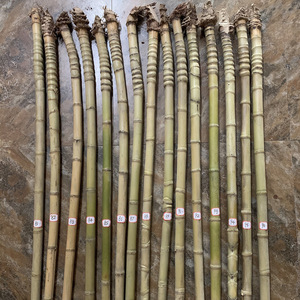 Luohan Bamboo Fishing Rod Ribs Fan Handles Calligraphy Brush Handles 3-5 Mm Diameter 1.2 M Length Craft Supplies - Product Image 2