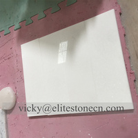 Carreaux de marbre blanc Thassos blanc pur blanc cristallin poli Vietnam blanc Villa moderne 60x60cm 2cm d'épaisseur Bonne qualité