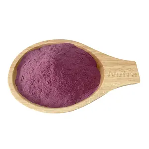 Organic Natural Fruit Powder Pure Blueberry Fruit Powder Juice Powder On Sale