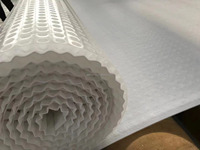 Tapis de drainage HDPE 20mm 30mm bord alvéolé étanche à l'eau Geonet Roadbed Garden Application Geocomposite Plastic Draining Board