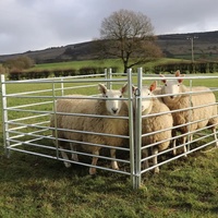 Corral de chevaux galvanisé portable à usage intensif personnalisable pour bétail vache mouton chèvre clôture de ferme australienne moderne en acier au carbone 3D