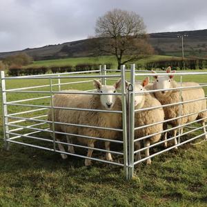 คอกม้าชุบสังกะสีแบบพกพาปรับแต่งได้สำหรับงานหนักรั้วฟาร์มจากออสเตรเลียทำจากเหล็กคาร์บอน3D ทันสมัย - Product Image 4