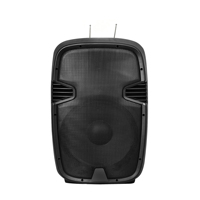 Système de sonorisation professionnel de précision, amplificateur D, haut-parleur 15 pouces, haut-parleur actif rechargeable en plastique avec microphone sans fil