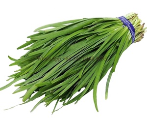 Prezzo di fabbrica verdi mietitrice di ceci mietitrice di verdure - Product Image 6