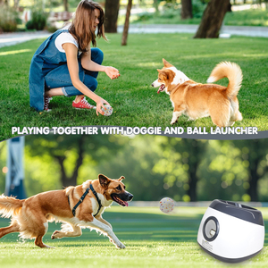 Original Factory Big Size <strong>Ball</strong> <strong>Thrower</strong> for <strong>Dog</strong> Automatic Upgraded <strong>Dog</strong> <strong>Ball</strong> Launcher With 2.5'' Etpu <strong>Balls</strong> Indoor and Outdoor - Product Image 4