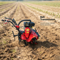 Motoculteur multifonctionnel à essence 4x4 à démarrage manuel, léger, pour le désherbage des rizières et des terres sèches, et le labourage du sol – Machine agricole