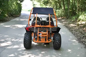 Off Road kartlar yetişkinler vücut 2 kişi elektronik çocuklar için 200cc Go Kart