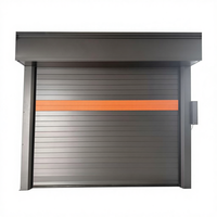 Portes électriques modernes antivol, volets roulants et levage de porte de garage