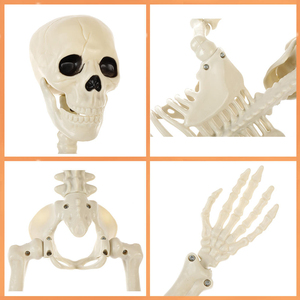 Modelo de esqueleto de Halloween, simulación de esqueleto humano, decoración para casa embrujada, accesorios para fiestas de terror, venta al por mayor - Product Image 5