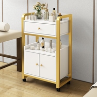 Chariot de salon multi-niveaux en acier inoxydable à 4 roues pour salon de beauté et coiffure