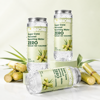 Eau gazeuse fruitée sans sucre, faible en gras et en calories, MOQ flexible, boisson saine en bouteille 300ml*24, échantillon gratuit d'usine