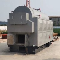 Chaudière à vapeur industrielle à biomasse série DZH 1000 kg/h pour le traitement du bois de chauffage et des billes de bois