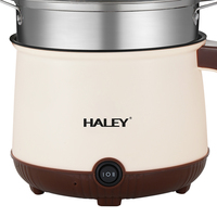 Mini-cuiseur électrique portable multifonction HALEY avec cuiseur vapeur pour étudiants, bureau, dortoir, importateurs – Direct Usine