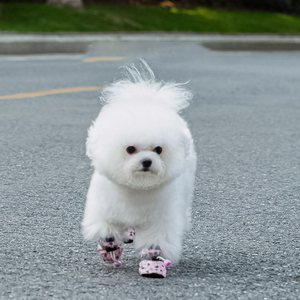 Chaussures pour chien mignonnes de dessin animé, spéciales pour animaux de compagnie, pour sortir, pour empêcher les petits <span class=keywords><strong>chiens</strong></span> de faire la saleté, ne tombent pas, semelle souple, imperméable, couvre-chaussures - Product Image 6