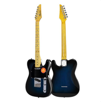 Gitar Grosir OEM TL Custom Electrica Diy Guitar Kit Instrumen Berdawai 6 Senar Gitar Elektrik Pemula Gitar Elektrik