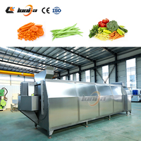 Spiraltransportband Mango Industriële Blancheringsmachine Fruit- en Groenteblisheringsmachine Met Dubbellaagse Isolatie