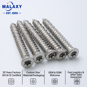 MALAXY Source Factory Clous à béton autotaraudeurs galvanisés à tête cruciforme DIN 7972 pour quincaillerie de meubles - Product Image 3