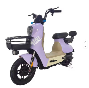 Bicicleta Urbana Mini de 2 Plazas, Batería de Plomo-Ácido de 48V, Motor sin Escobillas de 350W, con Cesta y Respaldo Trasero, Bicicleta Eléctrica para Adultos - Product Image 6