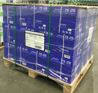 Papier de copie A4 blanc 80 g/m² Papier et cartons durables importés à double usage