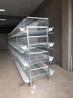 Équipement avicole de type A/H : Cage pour poules pondeuses, couveuse pour poussins, cage pour poulets de chair pour poulailler