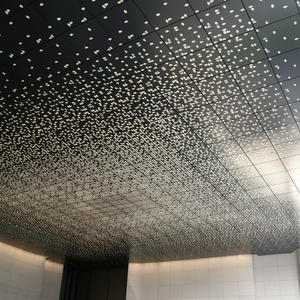 Tôle perforée en aluminium de 3mm enduite de poudre de trou fendu découpée avec des matrices pour la façade décorative - Product Image 1