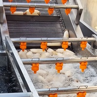 Commerciële fruit- en groentewasser, industriële groente-ozonbel-wasmachine